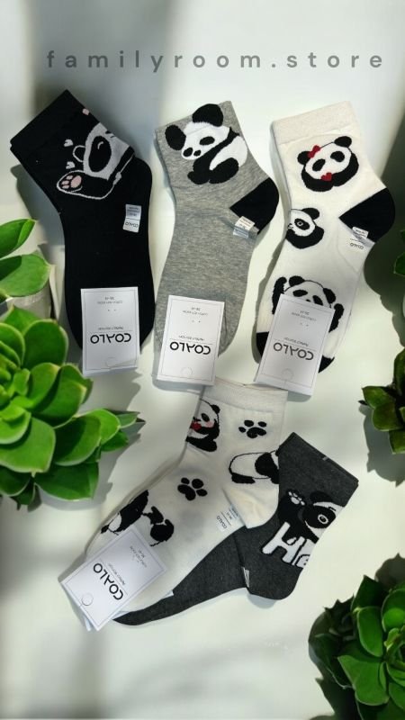 Шкарпетки демісезонні "COALO"  |• Панда • Високі •|Розмір: 36-41