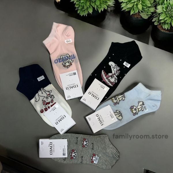 Шкарпетки демісезонні "COALO" |• Кішечки • Короткі• | Розмір: 36-41