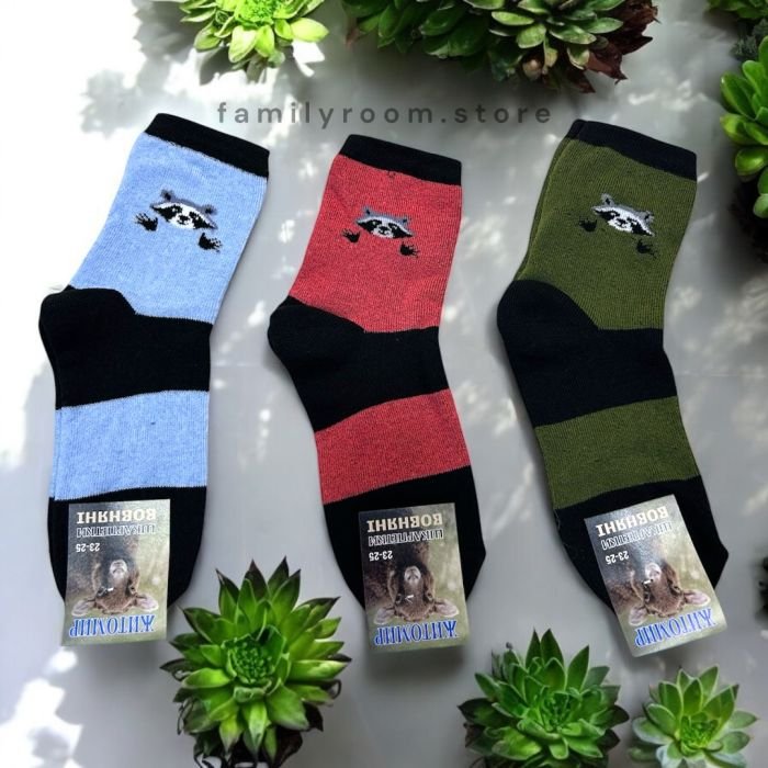 Шкарпетки зимові Житомир «Преміум» |• Махрові • Енотики • | Розмір:  23-25