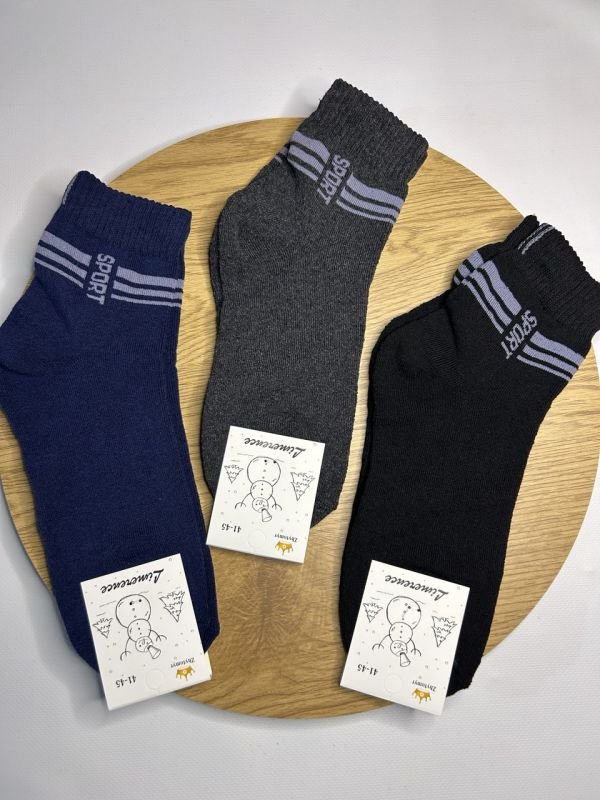 Зимові шкарпетки Житомир «Limerence» | Чоловічі махрові• Sport • Розмір: 41-45