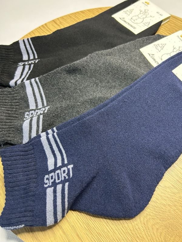 Зимові шкарпетки Житомир «Limerence» | Чоловічі махрові• Sport • Розмір: 41-45