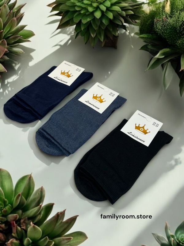 Шкарпетки демісезонні «Limerence», •Класика• | Розмір: 41-45