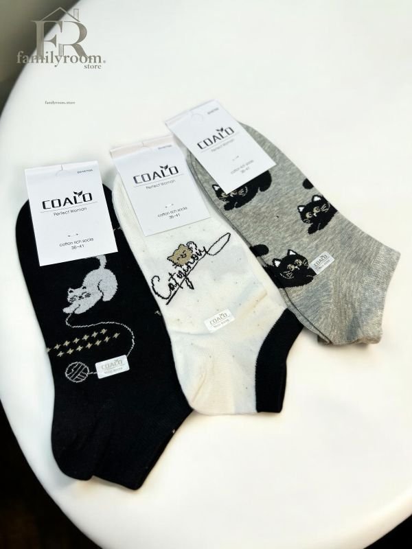 Шкарпетки демісезонні "COALO" |• Котики• Короткі•|Розмір: 36-41 | Арт. 672